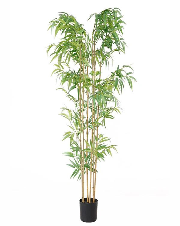 BAMBOO NP5801_180_22_UV ΥΨΟΣ 180cm