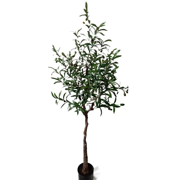 OLIVE TREE NP4817_160_22 ΥΨΟΣ 160cm
