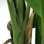 BANANA TREE NP017_240_22  ΥΨΟΣ 240cm