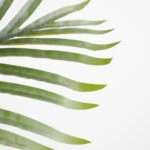 PALM TREE NP0266_140 ΥΨΟΣ 140cm