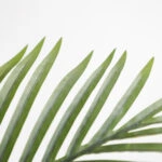 PALM TREE NP0266_140 ΥΨΟΣ 140cm