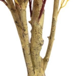 BOUGAINVILLEA NP0422_170 ΥΨΟΣ 170cm