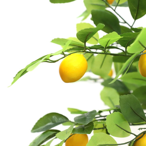 LEMON TREE  NP_30_170  ΥΨΟΣ 170cm