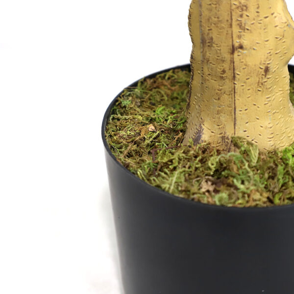 LEMON TREE  NP_30_170  ΥΨΟΣ 170cm