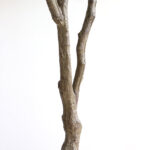 OLIVE TREE NP410_180 ΥΨΟΣ 180cm