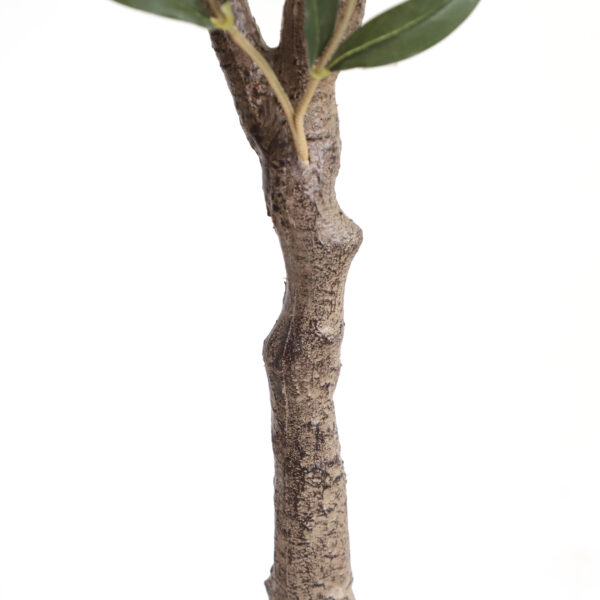 OLIVE TREE NP439_150 ΥΨΟΣ 150cm