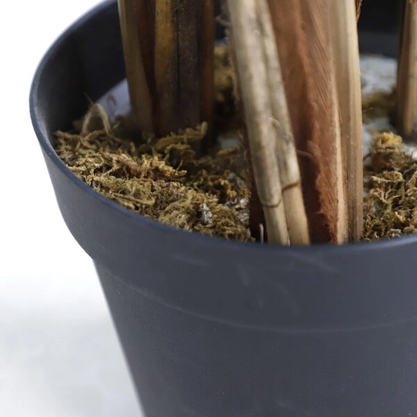 PALM TREE  NP5501_210_22  ΥΨΟΣ 210cm