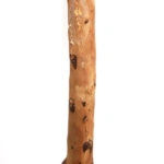 OLIVE TREE NP5807_150_22_UV ΥΨΟΣ 150cm