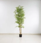 BAMBOO  NP6321_180_22  ΥΨΟΣ 180cm