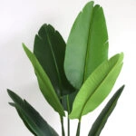 BIRD OF PARADISE NP716_120 ΥΨΟΣ 120cm