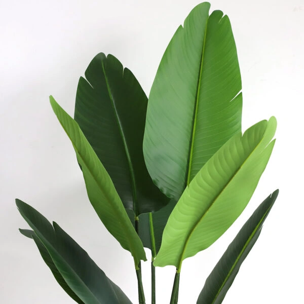 BIRD OF PARADISE NP716_120 ΥΨΟΣ 120cm