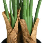 BIRD OF PARADISE NP716_120 ΥΨΟΣ 120cm