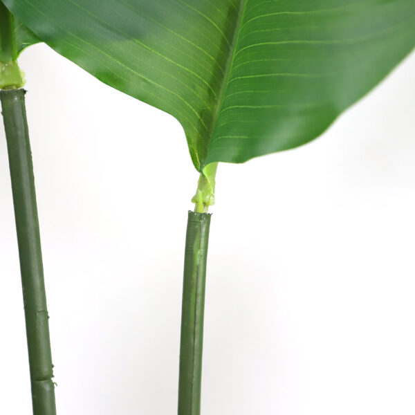 BIRD OF PARADISE NP717_160 ΥΨΟΣ 160cm