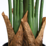 BIRD OF PARADISE NP717_160 ΥΨΟΣ 160cm