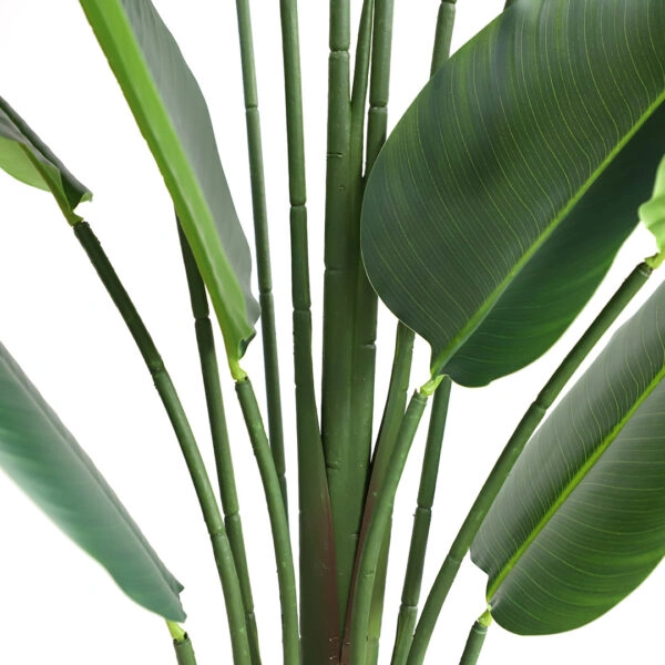 BIRD OF PARADISE  NP718_180  ΥΨΟΣ 180cm