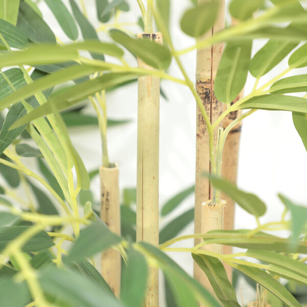 BAMBOO NP824_153 ΥΨΟΣ 153cm