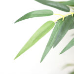 BAMBOO NP824_153 ΥΨΟΣ 153cm