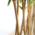 BAMBOO IN POT (L90*W30) NP827_180_UV ΥΨΟΣ 180cm