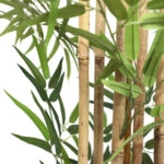 BAMBOO  NP828_210_UV  ΥΨΟΣ 210cm