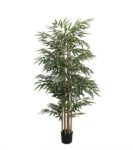 BAMBOO NP824_153 ΥΨΟΣ 153cm