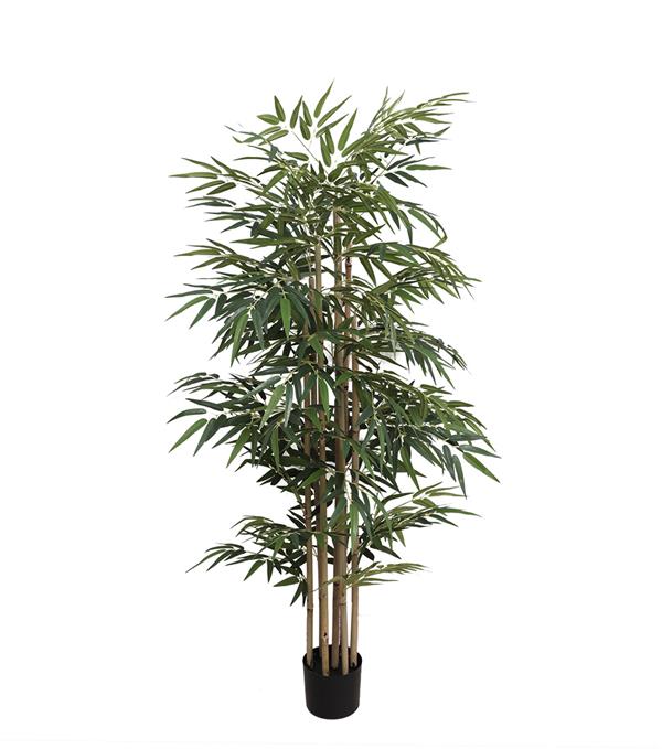 BAMBOO NP824_153 ΥΨΟΣ 153cm