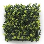 ΠΑΝΕΛ ΦΥΛΛΩΣΙΑΣ BERLIN 50 Χ 50 A003 BUXUS