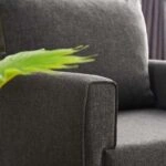 Πολυθρόνα Bella υφασμάτινη χρώμα ανθρακί 82x81x85εκ.