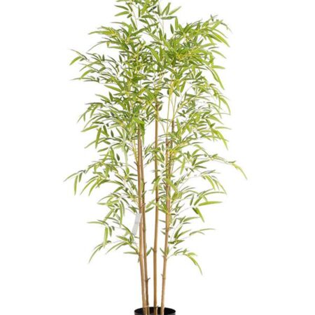 BAMBOO NP6320_150_22 ΥΨΟΣ 150cm