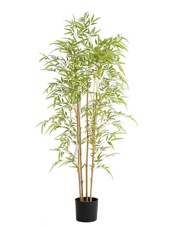 BAMBOO NP6320_150_22 ΥΨΟΣ 150cm