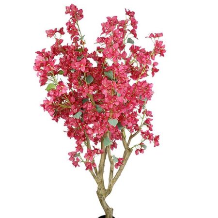 BOUGAINVILLEA NP0422_170 ΥΨΟΣ 170cm