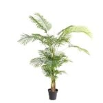 PALM TREE  NP5502_180_22   ΥΨΟΣ 180cm