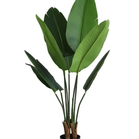BIRD OF PARADISE NP716_120 ΥΨΟΣ 120cm