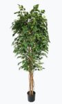 FICUS TREE NP230_210_UV ΥΨΟΣ 210cm