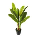 BANANA TREE NP014_120_22 ΥΨΟΣ 120cm