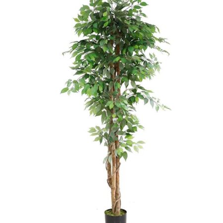 FICUS TREE NP0081_210 ΥΨΟΣ 210cm