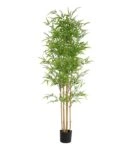 BAMBOO  NP6321_180_22  ΥΨΟΣ 180cm