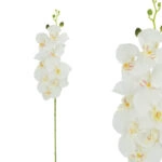 ΚΛΑΔΙ ΛΕΥΚΟ ΟΡΧΙΔΕΑ Y90cm 12/120ΚΙΒ
