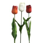 ΚΛΑΔΙ ΤΟΥΛΙΠΑ REAL TOUCH ASS (3 ΧΡΩΜΑΤΑ) Y66cm. 12/144KIB