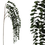 FOAM ΠΡΑΣΙΝΟ  ΕΥΚΑΛΥΠΤΟΣ ΚΡΕΜΑΣΤΟ Y130/72cm 6/60KIB