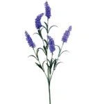 ΚΛΑΔΙ ΛΕΒΑΝΤΑ ΜΠΛΕ/ΜΩΒ Y70cm. 48/576KIB