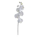 ΚΛΑΔΙ ΟΡΧΙΔΕΑ ΛΕΥΚΟ Y72cm. 36/432ΚΙΒ