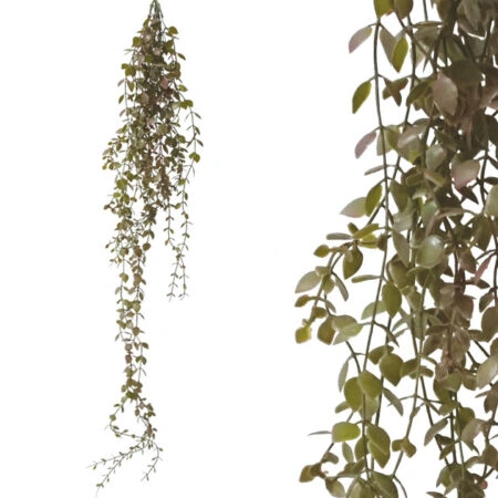 ΡΙΖΑ ΚΡΕΜΑΣΤΗ ΠΡΑΣΙΝΟ ΓΚΡΑΣ ΔΙΧΡΩΜΟ Υ90-102cm 48/144ΚΙΒ