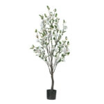 ΔΕΝΤΡΟ ΛΕΥΚΟ ΜΑΝΩΛΙΑ ΣΕ ΓΛΑΣΤΡΑ Υ140cm 2/ΚΙΒ