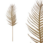 ΚΛΑΔΙ ΦΥΛΛΟ ΦΟΙΝΙΚΑΣ ΚΑΦΕ - Υ105cm 12/96KΙΒ