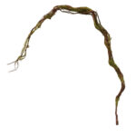 18034-1 ΔΙΑΚΟΣΜΗΤΙΚΗ ΚΛΑΡΑ ΠΡΑΣΙΝΟ ΜΕ ΒΡΥΑ 170cm