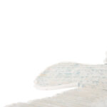 ΚΡΕΜΑΣΤΟ ΔΙAΚΟΣΜΗΤΙΚΟ ΜΕΓΑΛΟΣ ΓΛΑΡΟΣ HM4302 ΞΥΛΟ ΑΛΜΠΑΣΙΑΣ BLUEWASH 93x62x12-100Υ εκ.