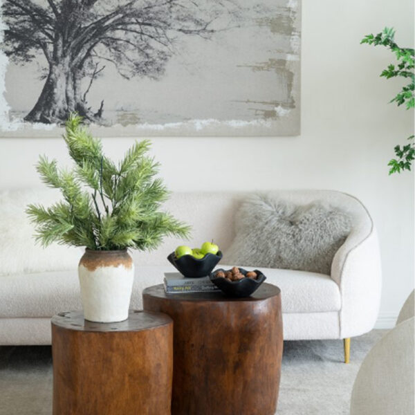 Woody Μπολ Διακοσμητικό από Ξύλο Teak Μαύρο (22x22x10)cm Σετ/2