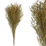 ΚΛΑΔΙ ΚΑΦΕ ΛΕΙΜΩΝΙΟ ΑΠΟΞΗΡΑΜΕΝΟ 3~5 ΤΜΧ/ΜΑΤΣΟ - Υ80~90cm, Υ50~60cm ΤΟ ΑΝΘΟΣ,  100/ΚΙΒ