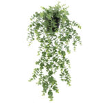 ΚΡΕΜΑΣΤΟΣ ΘΑΜΝΟΣ ΕΥΚΑΛΥΠΤΟΣ ΠΡΑΣΙΝΟ ΣΕ ΚΑΣΠΩ - Y67cm 12/KIB