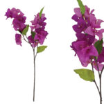 ΚΛΑΔΙ ΒΟΥΚΑΜΒΙΛΙΑΣ ΜΩΒ - Υ108cm 48/288KIB